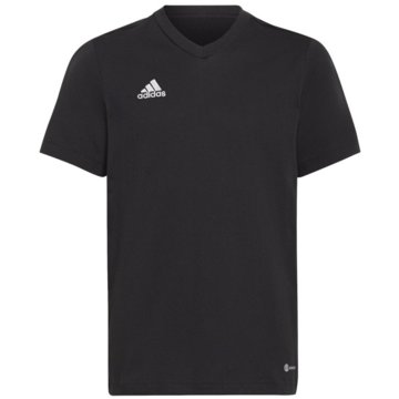 adidas Performance T-ShirtsEntrada 22 T-Shirt schwarz