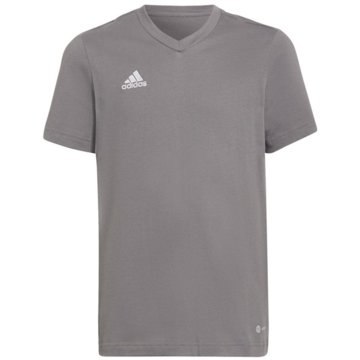 adidas T-ShirtsEntrada 22 T-Shirt -