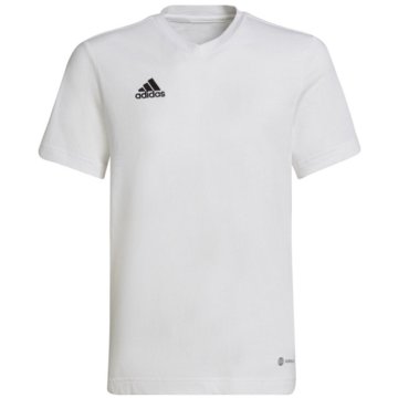adidas T-ShirtsEntrada 22 T-Shirt weiß