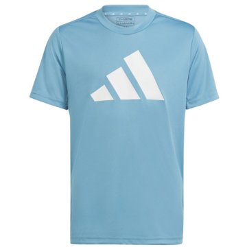 adidas T-ShirtsTrain Essentials AEROREADY Logo Regular-Fit T-Shirt -
