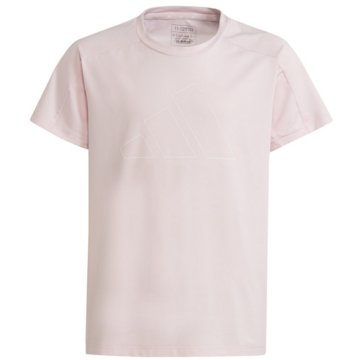 adidas T-ShirtsEssentials AEROREADY Regular-Fit Logo T-Shirt pink