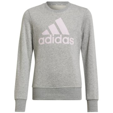 adidas sportswear SweatshirtsEssentials Sweatshirt grau