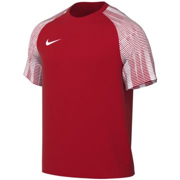 Nike FußballtrikotsDri-FIT Academy Jersey rot