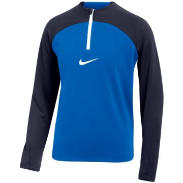 Nike FußballtrikotsDri-FIT Academy Pro blau