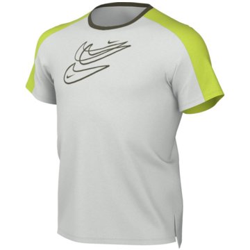 Nike T-ShirtsDri-FIT Training Top grau
