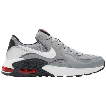 Nike Sneaker LowAIR MAX EXCEE - CD4165-009 grau
