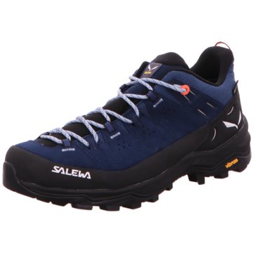Salewa Outdoor SchuhALP TRAINER 2 GTX W blau