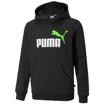 Puma SweatshirtsESS   2 COL BIG LOGO HOODI - 586987 schwarz